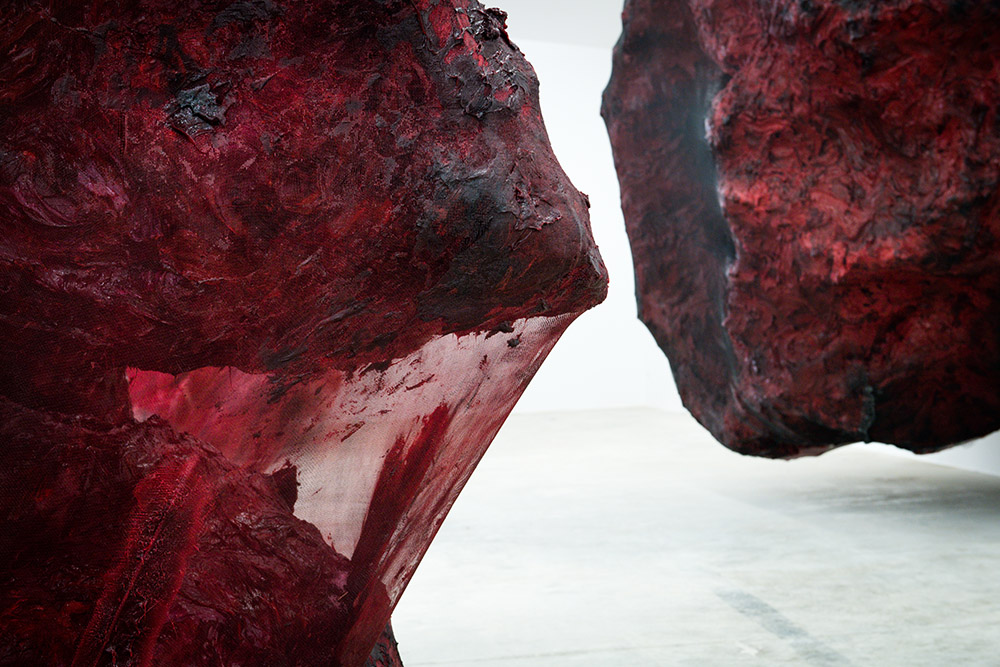 Anish Kapoor - 